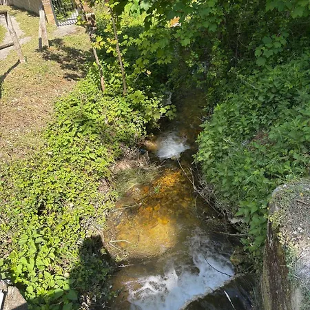 Il Giardino Di Sant'eufemia *