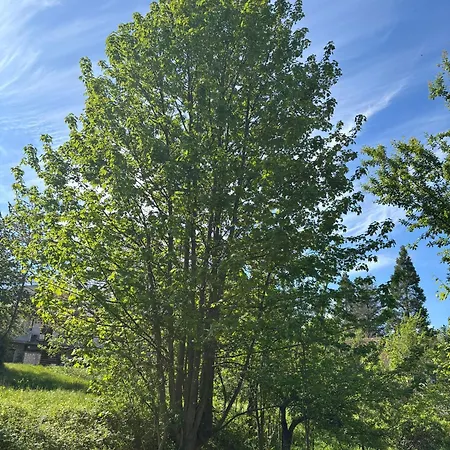 Il Giardino Di Sant'eufemia