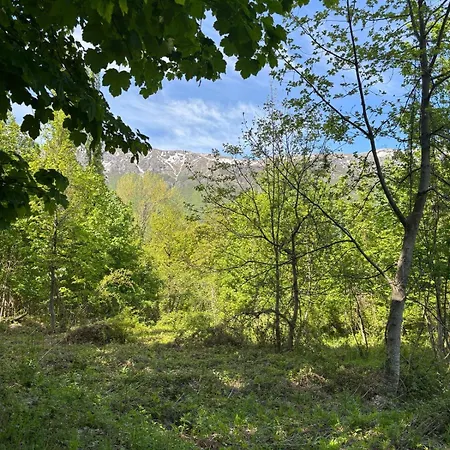 Il Giardino Di Sant'eufemia