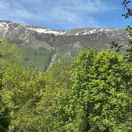Il Giardino Di Sant'eufemia 圣埃乌费米亚阿马伊埃拉