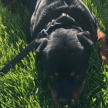 Vakantiehuis Il Giardino Di Sant'eufemia