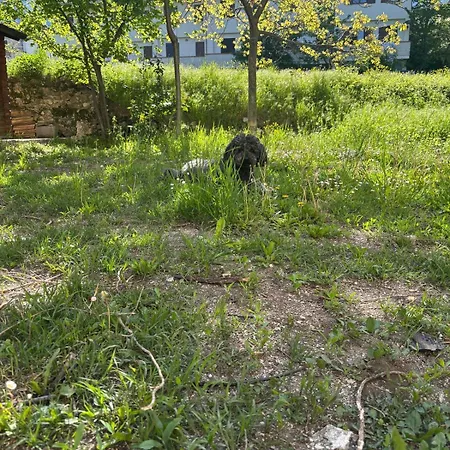 Il Giardino Di Sant'eufemia *