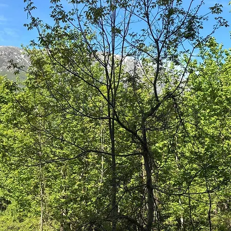 Il Giardino Di Sant'eufemia