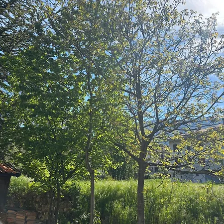 Holiday home Il Giardino Di Sant'eufemia *