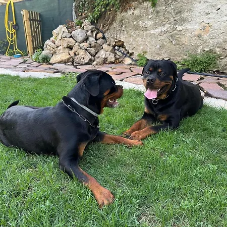 Vakantiehuis Il Giardino Di Sant'eufemia *