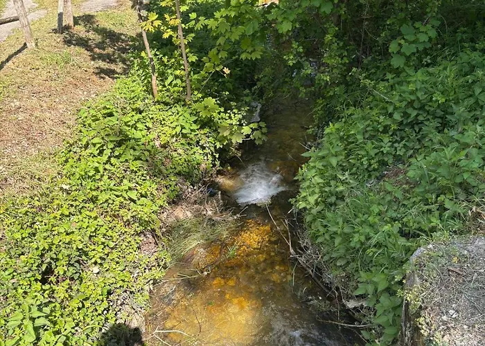 Il Giardino Di Sant'eufemia * סנט'אופמיה א מיילה