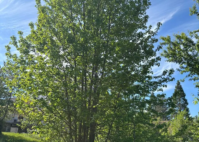 Il Giardino Di Sant'eufemia