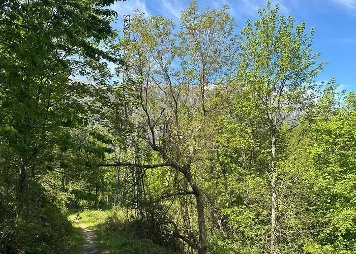 Il Giardino Di Sant'eufemia サンテウフェミーア・ア・マイエッラ