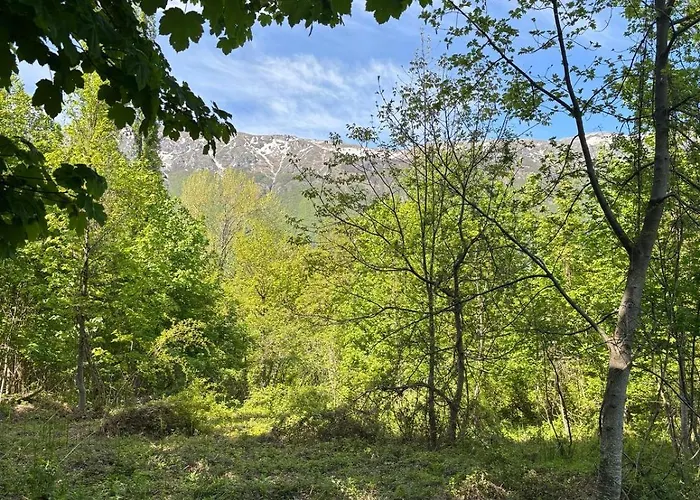 Il Giardino Di Sant'eufemia