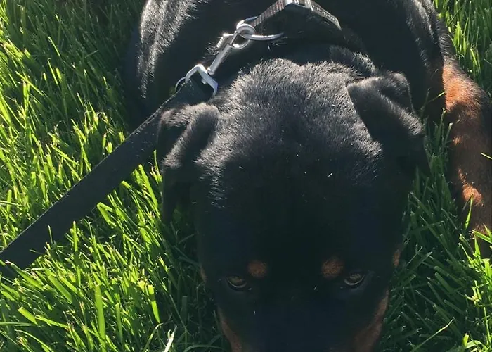 בית נופש Il Giardino Di Sant'eufemia