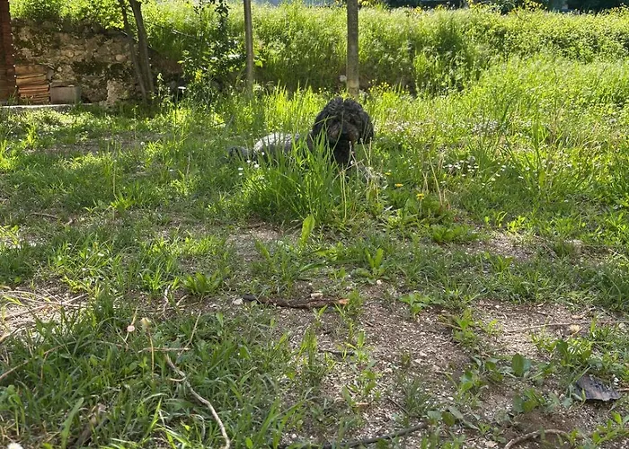 Il Giardino Di Sant'eufemia *