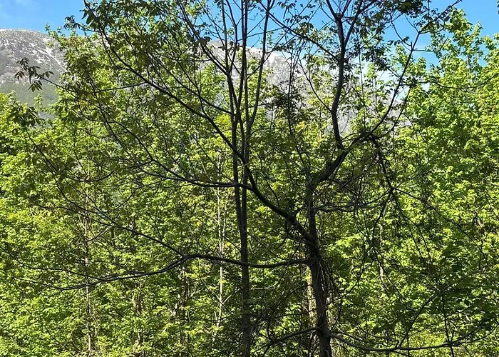 Il Giardino Di Sant'eufemia