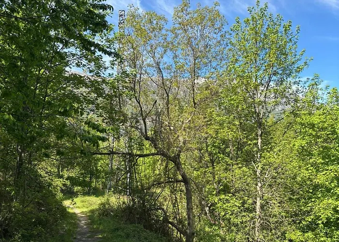 Il Giardino Di Sant'eufemia 別荘 サンテウフェミーア・ア・マイエッラ