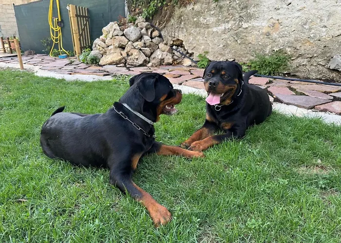 別荘 Il Giardino Di Sant'eufemia *